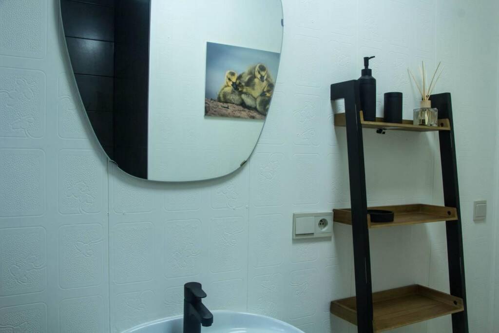 Apartament 'T Onderdak Lommel Zewnętrze zdjęcie